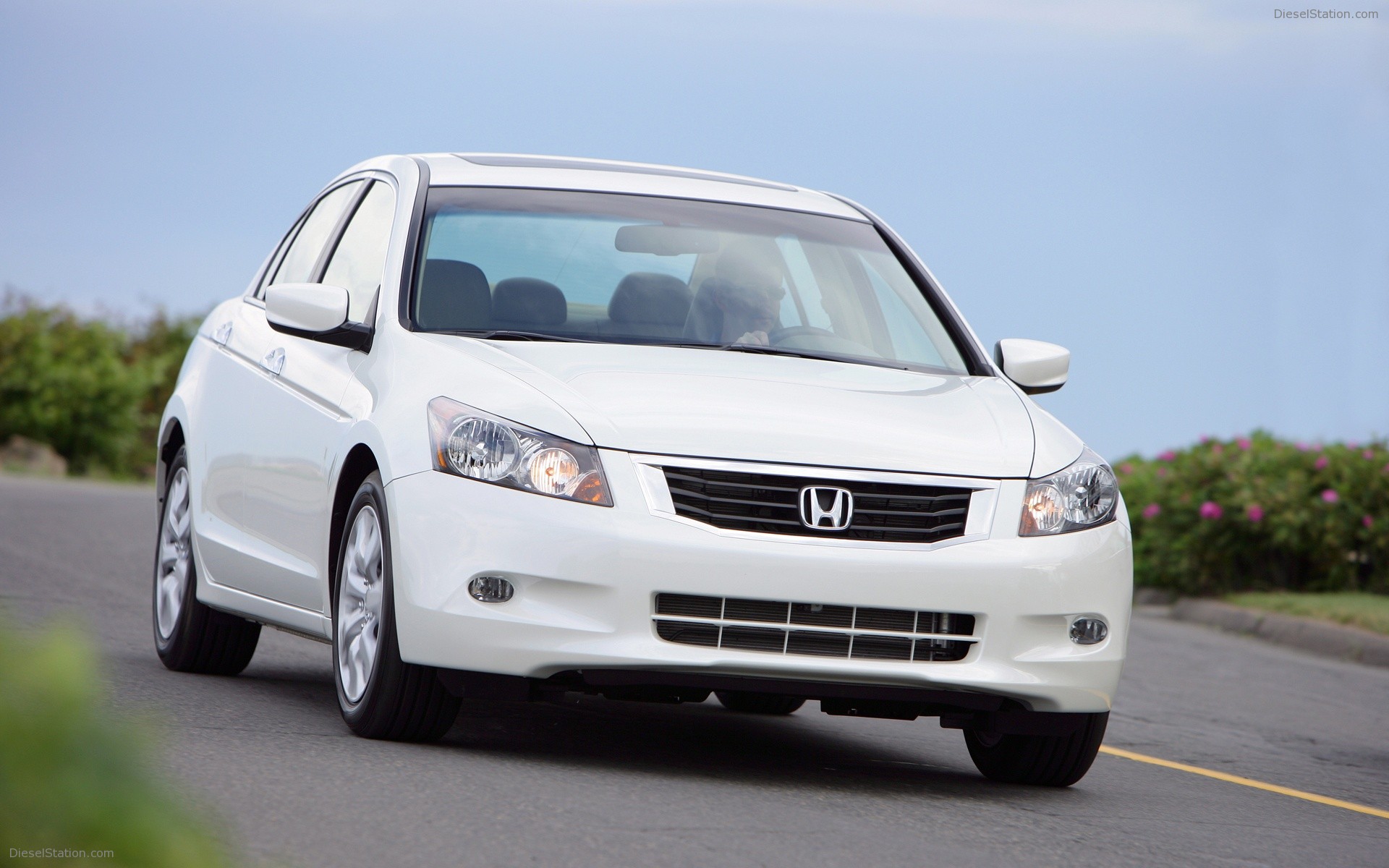 2008 Honda Accord Coupe & Sedan